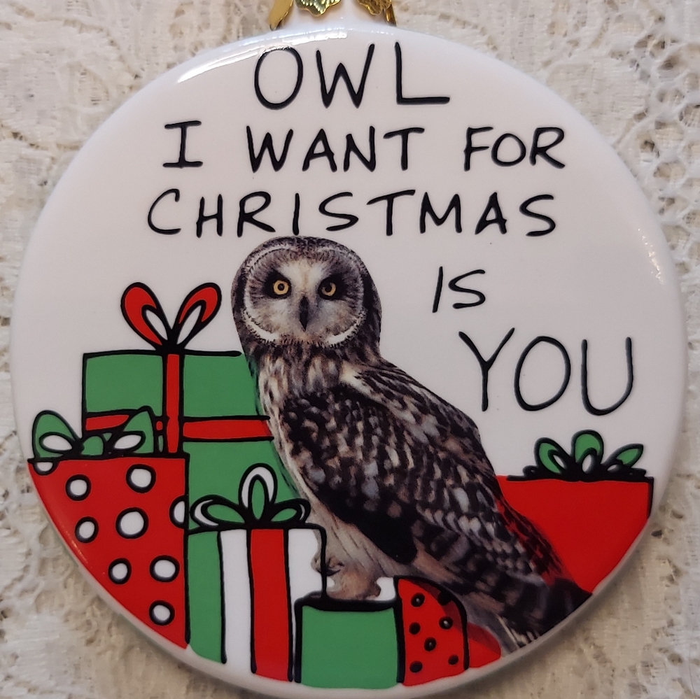 New Ceramic Owl Christmas Ornament Owl I Want for Christmas by Enesco